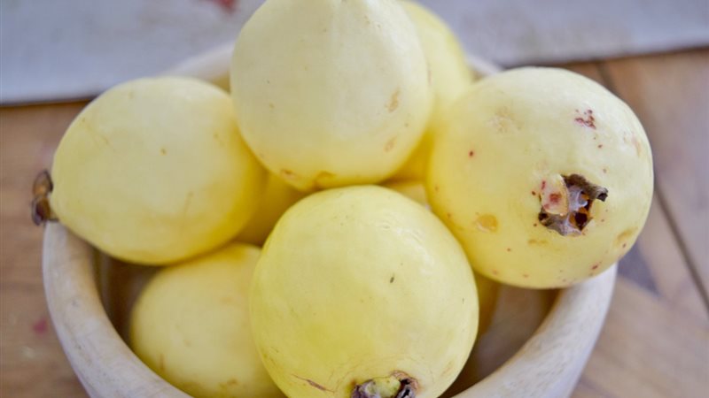 تفسير حلم الجوافة