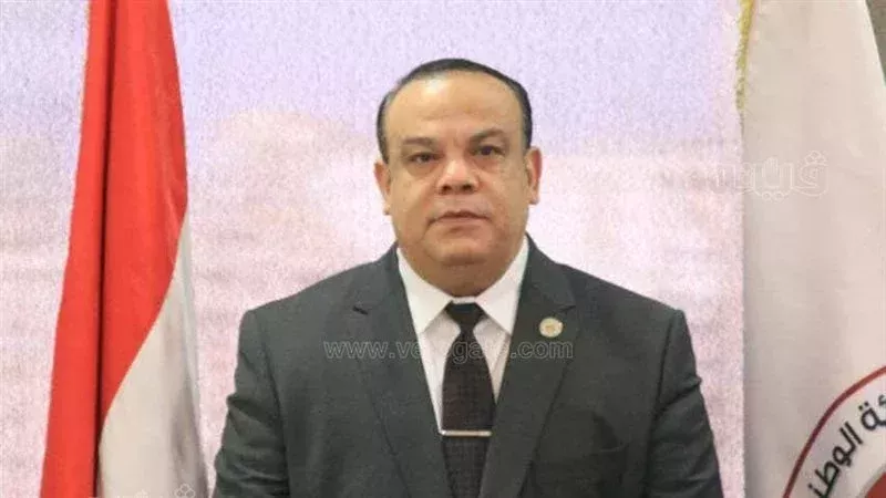 المستشار حازم بدوي،فيتو
