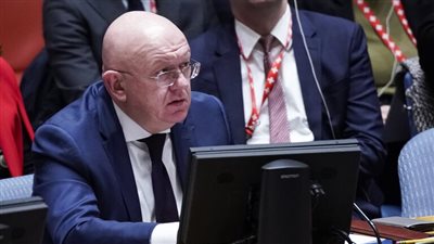 مندوب روسيا الدائم: الأراضي الفلسطينية تشهد كارثة إنسانية ومجلس الأمن أصيب بـ 