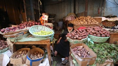 أسعار الخضراوات اليوم الأربعاء 8-11-2023 في الدقهلية