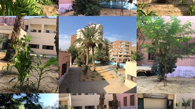 موظفو الشهر العقاري بالإسماعيلية يطورون المبني الإداري بالجهود الذاتية (صور) 