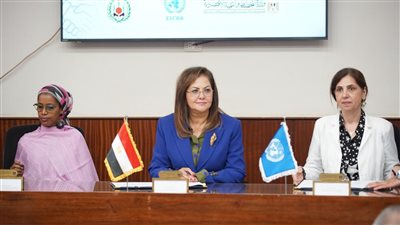 وزيرة التخطيط: البيانات الإحصائية ركيزة أساسية لتحقيق التنمية الشاملة 