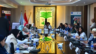  17 اختصاصا للمجلس القومي للأمومة والطفولة تعرف عليها