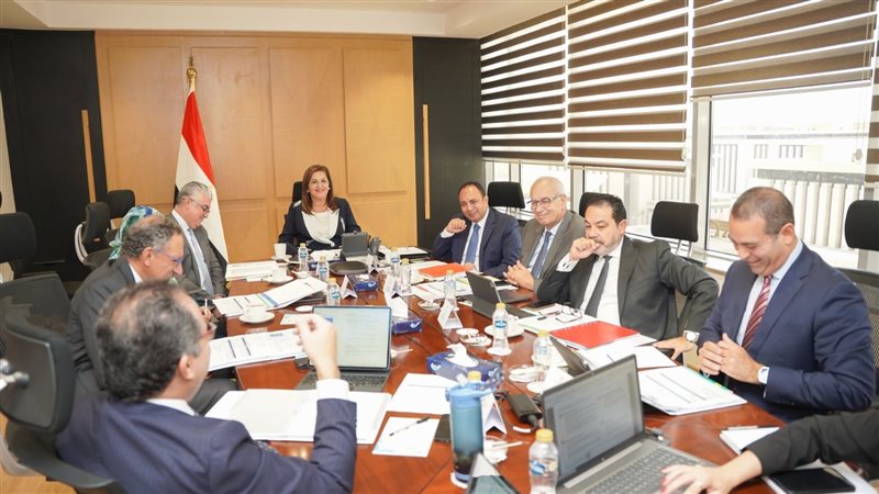صندوق مصر السيادي،فيتو