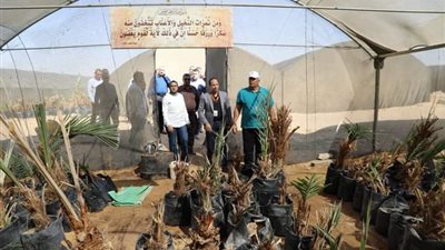 محافظ الوادي الجديد يتابع مشروعات الصوب الزراعية بالخارجة