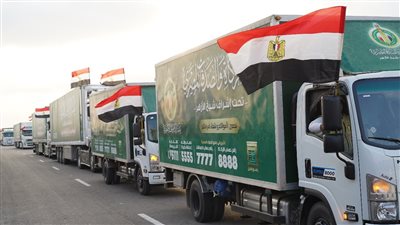 رد مصري حاسم على ادعاءات الرئيس الأمريكي بشأن منع إدخال المساعدات الي غزة (إنفوجراف)