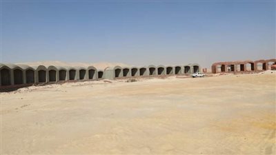  الوادي الجديد تستعد لافتتاح نادي الهجن والفروسية الدولي بالخارجة (صور)