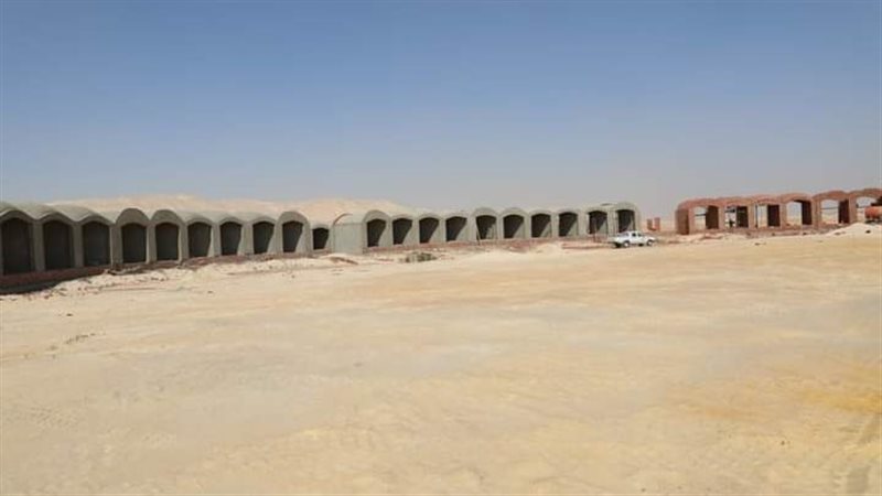 نادي الهجن والفروسية