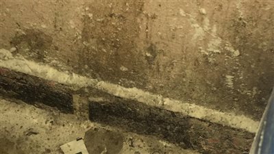 مراقبة الأغذية بصحة الدقهلية تكثف حملاتها بالمرور على 365 منشأة