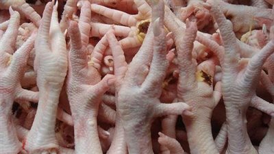 فوائد رجول الفراخ، تحافظ على قوة العظام والمفاصل 