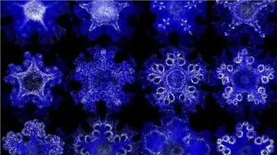 دراسة حديثة تكشف تصميم جسم نجم البحر