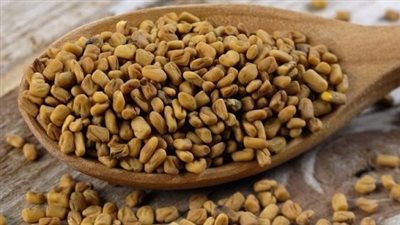 فوائد الحلبة الحصى لصحة القلب والعظام وللنساء بعد انقطاع الطمث