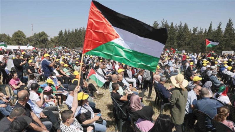 فلسطين بين وعدين،فيتو