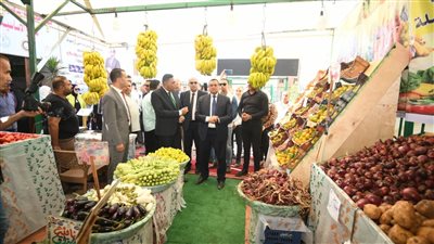 وزير التنمية المحلية ومحافظ الدقهلية يتفقدان معرض بيع السلع والمواد الغذائية