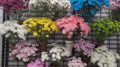 تفسير حلم الورد في المنام وعلاقته بسماع أخبار سارة قريبا 