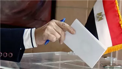 ضوابط الإدلاء بالصوت الانتخابي في الانتخابات الرئاسية داخل البلاد 