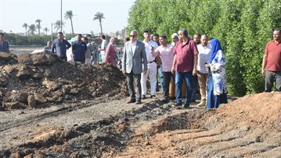 خلال 4 أيام، إزالة 207 حالات تعد على الأراضي الزراعية ببنها وطوخ
