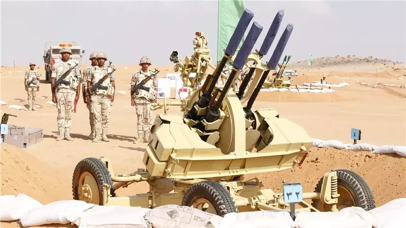 الجيش الثالث الميدانى،فيتو
