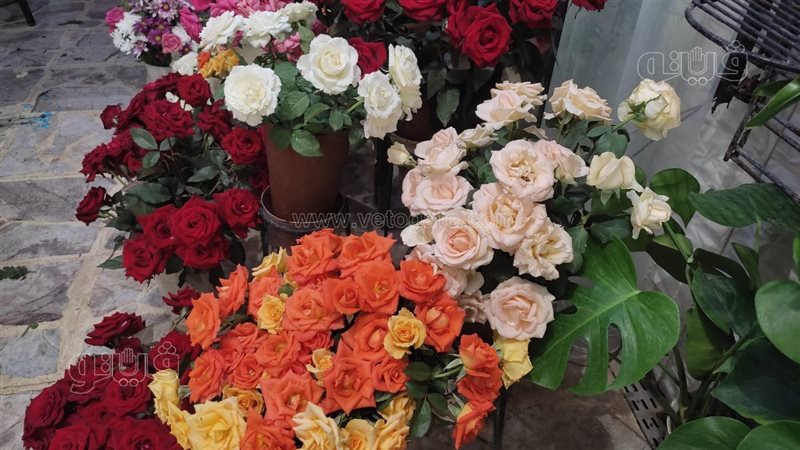 أسعار الورد، فيتو
