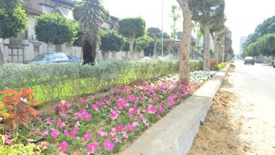 محافظ بورسعيد: استمرار تطوير شارع الحرية في بورفؤاد (صور)