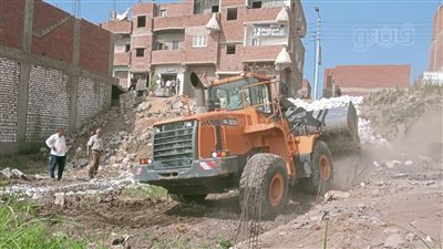 إزالة 242 حالة تعد على أراض زراعية في المهد ببني سويف