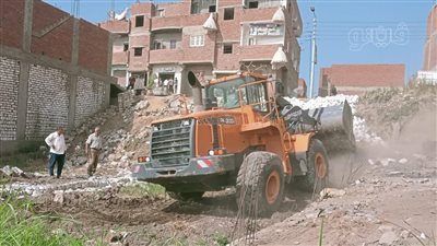 إزالة 200 حالة تعد على الأرض الزراعية ببني سويف