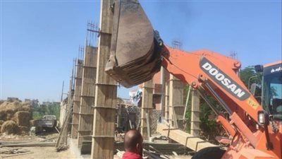 إزالة 38 حالة تعدٍّ على الأراضي الزراعية في الإسماعيلية 