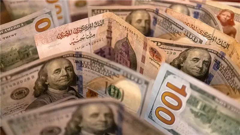 جمع أموال المصريين