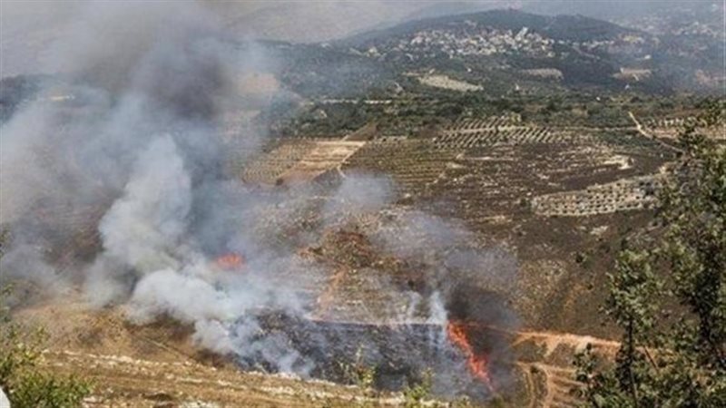 جنوب لبنان، فيتو