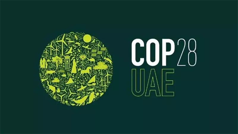 مؤتمر المناخ، فيتو
