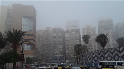 بسبب الشبورة، محافظة الإسكندرية تعلن إغلاق طريقي الصحراوي والدولي 