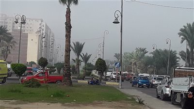  لليوم الثانى، الشبورة تغلق ميادين وشوارع محافظة الإسكندرية (فيديو)