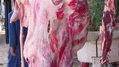 ضبط 30 كيلو جرام لحوم ذبح خارج المجزر بأختام غير حكومية بالأقصر