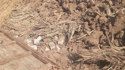 إزالة ٤ حالات تعد بالبناء خلال حملة في قنا (صور)