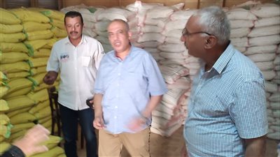 الزراعة تتابع الاستعداد لزراعة القمح وتوفير التقاوى المعتمدة في المحافظات