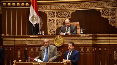 نائب بالشيوخ: التحول الرقمي يساهم بشكل كبير في تقليل انبعاثات الكربون