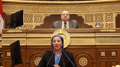 ياسمين فؤاد من الشيوخ: نستخدم الجزرة بدلا من العصا لمخالفي قوانين البيئة