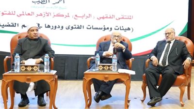 مصطفى الفقي: وجود الكيان المحتل في فلسطين لا يستند إلى حقائق ويحاول سرقة الحقوق 