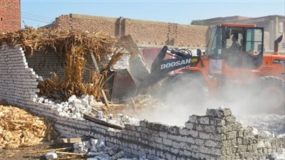 إزالة 285 حالة تعدٍ على الأراضي الزراعية بالقليوبية