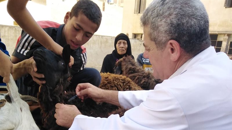 قافلة بيطرية مجانية