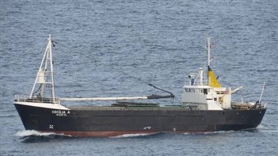 تداول 16 ألف طن بضائع و624 شاحنة بموانئ البحر الأحمر 