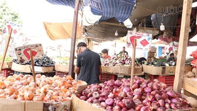 أسعار الخضراوات اليوم، سعر البصل يسجل ارتفاعا جديدا في سوق العبور