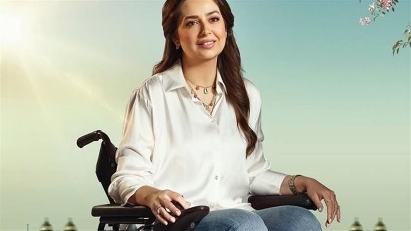 هبة مجدي، فيتو