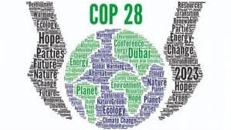 مؤتمر المناخ، فيتو