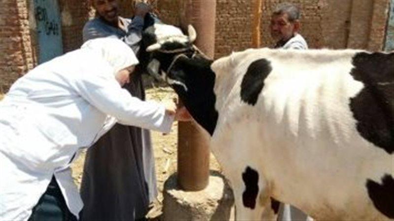 قافلة بيطرية للكشف