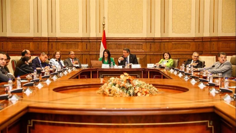 وزيرة التعاون الدولي