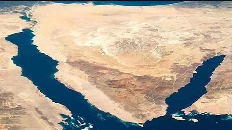 سيناء، فيتو