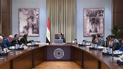 الحكومة تبحث خطة إعادة هيكلة بنك الاستثمار القومي