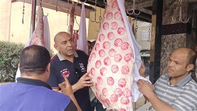 ضبط لحوم وأسماك غير صالحة للاستهلاك الآدمي بحملة بيطرية بالبحيرة 