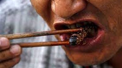 أستاذ طب بيطري يكشف سر تناول الصينيين الفئران والصراصير